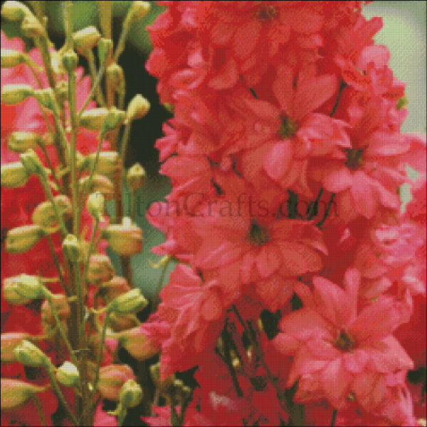 July's Flower - Larkspur - 2025